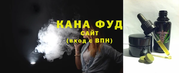 МДПВ Бородино