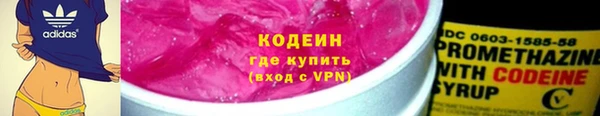 МДПВ Бородино