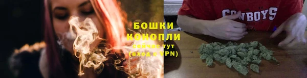 МДПВ Бородино