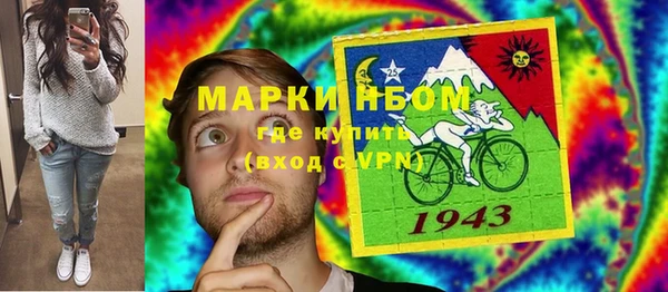 дмт Богданович
