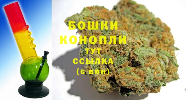 МДПВ Бородино