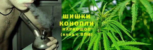 МДПВ Бородино